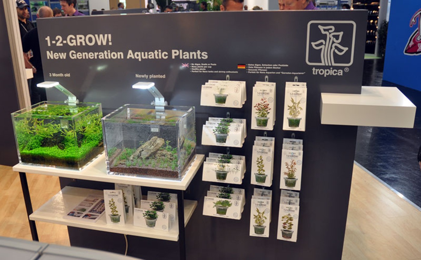 Aquarium Plants - Real or Artificial?