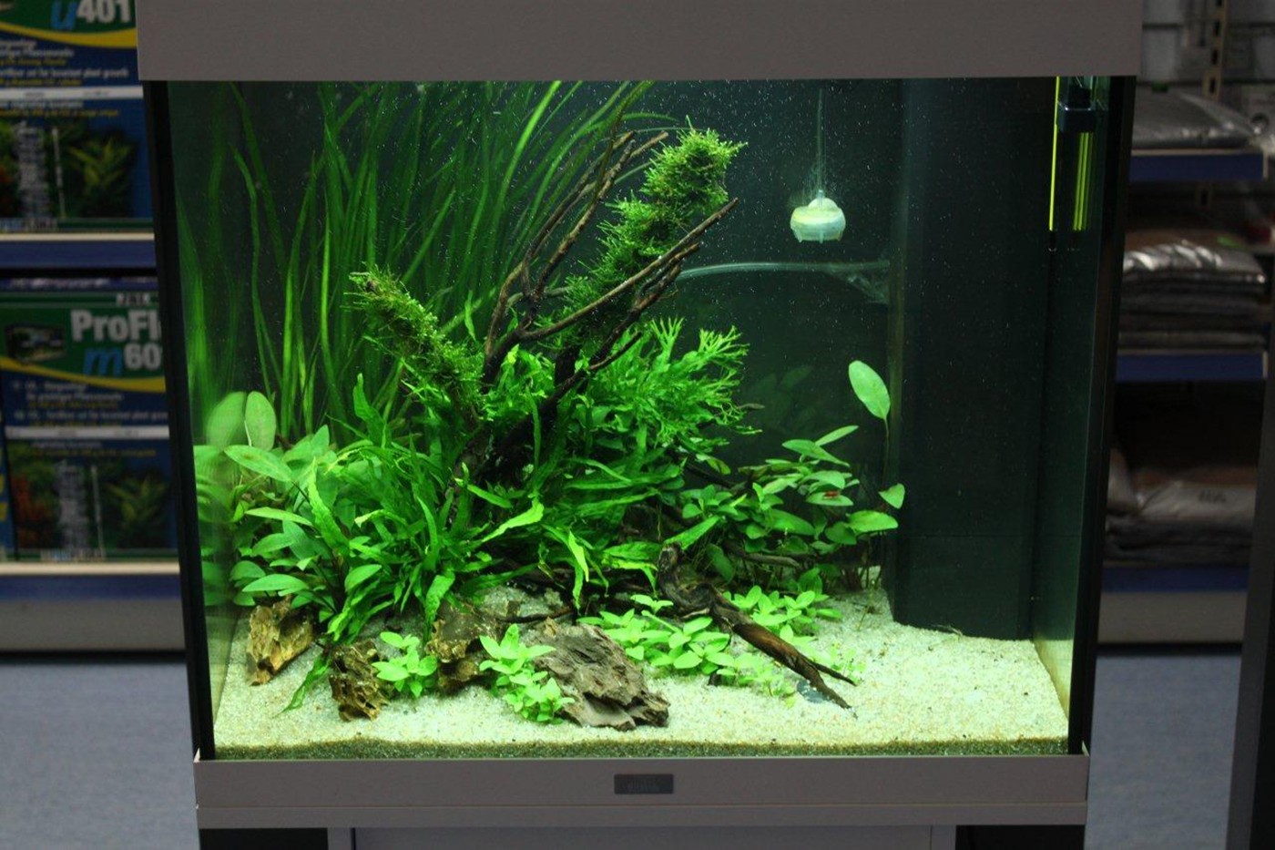 Layout 68 - - Aquarium Plants