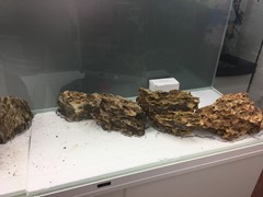 Hardscape: arranging the second rock group.