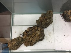 A closer look at the height and angle of the rocks.