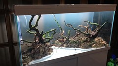 Branching wood completes the hardscape before planting.