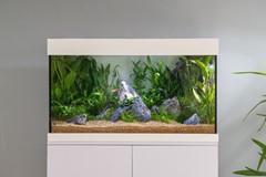 The finished aquarium and cabinet.