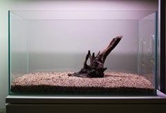 The first piece of wood establishes the focal point.