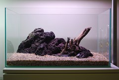 The completed hardscape before moss is added.