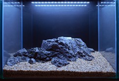 Smaller stones finish the hardscape.