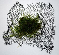 Netting is wrapped around the moss and rock.