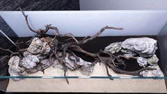 Sand is added around the rocks and wood.