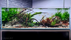 The established Green River aquarium.