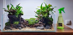 An earlier view of the planted display before the water level is raised.