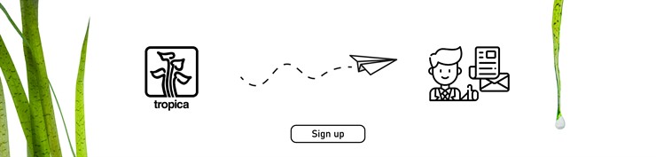 Newsletter sign up