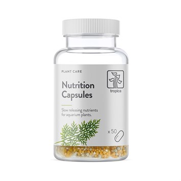Nutrition Capsules 2