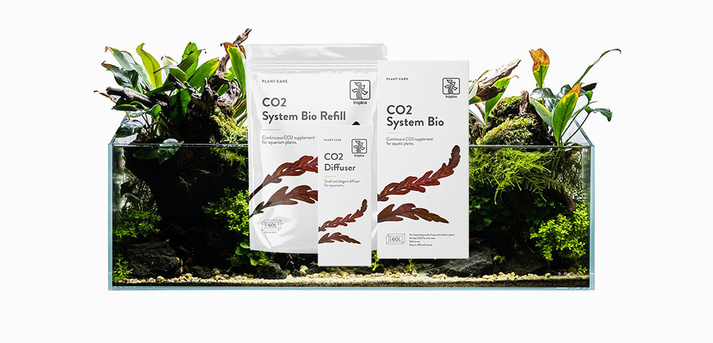 CO2 System Bio