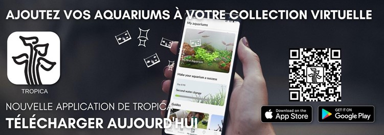 Tropica app banner qr 3 FR