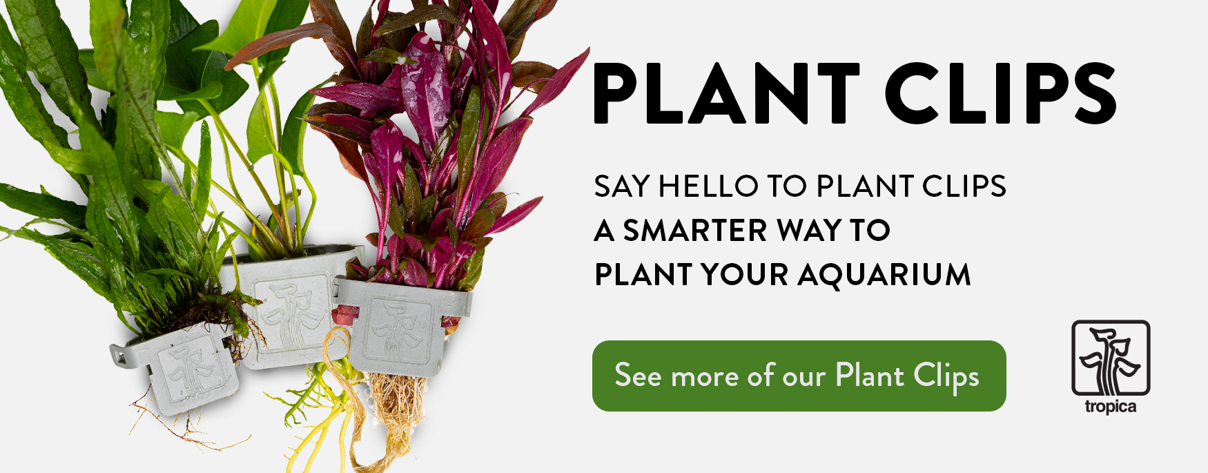 Top banner for plant clips