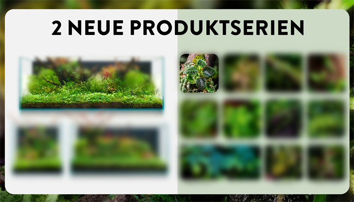 Product Ranges DE