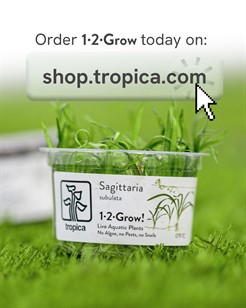 US Webshoplaunch B2C 05